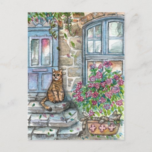 Mauw aan de deur briefkaart (Voorkant)