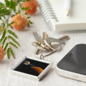 Maven ruimtesonde. sleutelhanger (Zijkant)