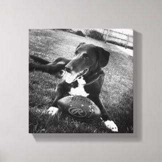 maverick canvas afdruk