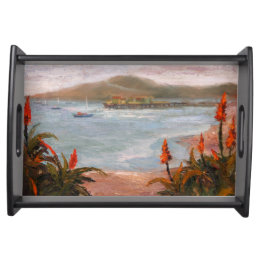 Maverick van Barbara's vistrap met dienblad