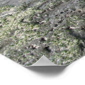 Mavericks Poster (Hoek)