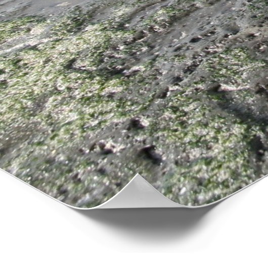 Mavericks Poster (Hoek)