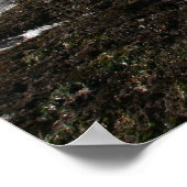 Mavericks Poster (Hoek)