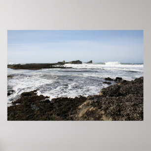 Mavericks Poster