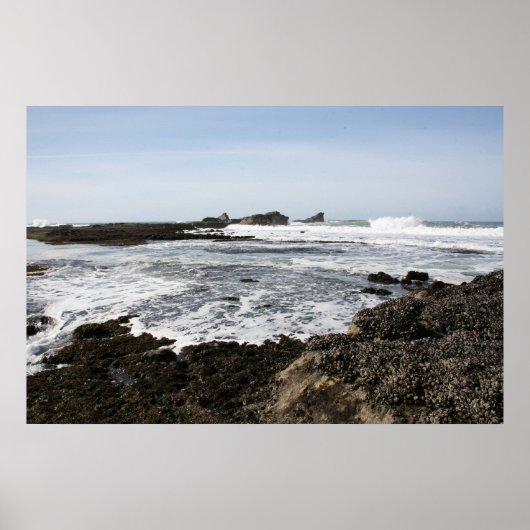 Mavericks Poster (Voorkant)