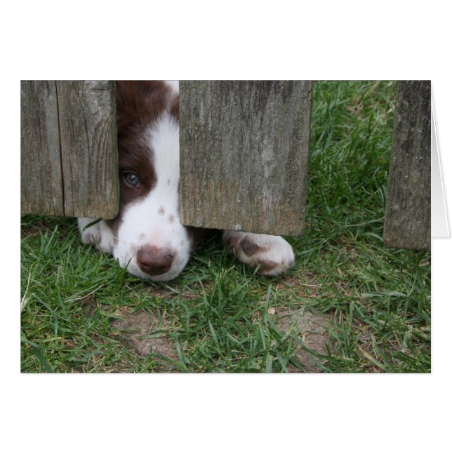 Max (Voorkant Horizontaal)