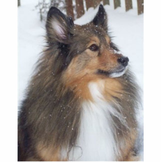 Max_1997_-_2009 Staand Fotobeeldje