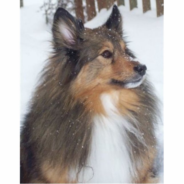 Max_1997_-_2009 Staand Fotobeeldje (Voorkant)