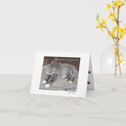 Max de Cat Note kaart (Gele Bloem)