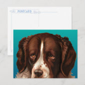 Max de Grote Hond Ansichtkaart Briefkaart (Voorkant / Achterkant)