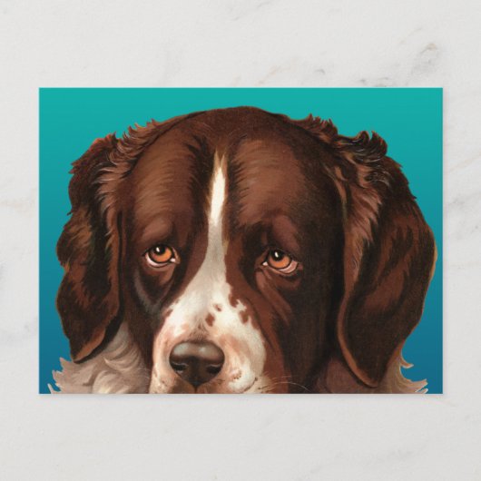 Max de Grote Hond Ansichtkaart Briefkaart (Voorkant)
