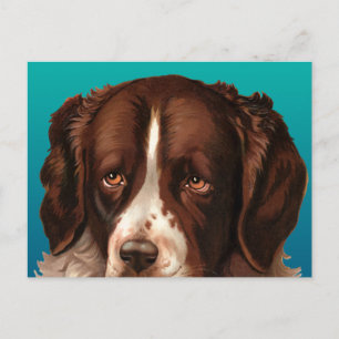 Max de grote hond Briefkaart
