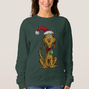 Max de hond met kerstmuts trui