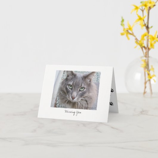 Max de kat #5 kaart (Gele Bloem)