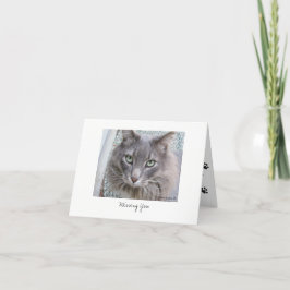 Max de kat #5 kaart