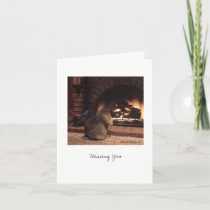 Max de kat #8 kaart