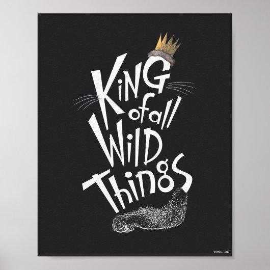 Max | De koning van alle wilde dingen Poster (Voorkant)