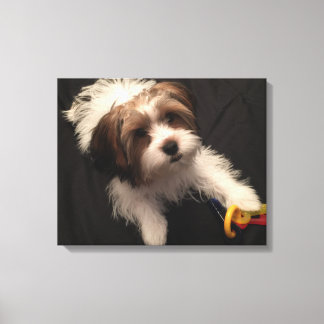 Max de Parti Yorkie Canvas Afdruk