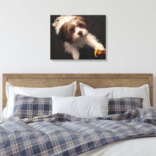 Max de Parti Yorkie Canvas Afdruk (Insitu (Slaapkamer))
