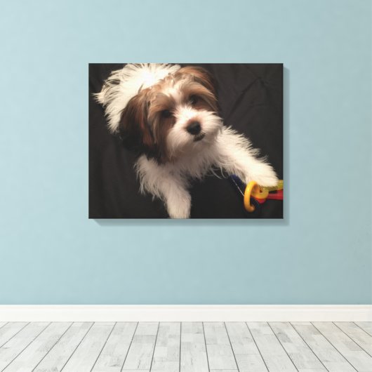 Max de Parti Yorkie Canvas Afdruk (Insitu (Houten vloer))