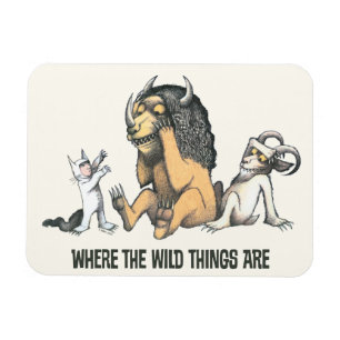 Max en Wilde Dingen spelen Magneet