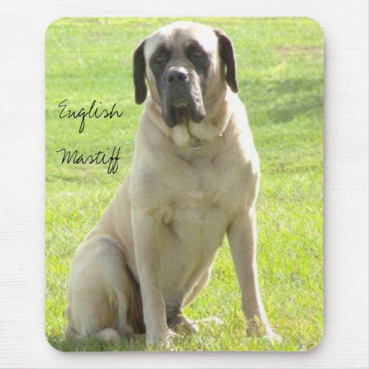 Max, Engelse Mastiff Muismat (Voorkant)
