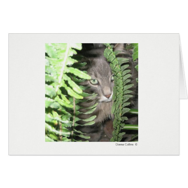 Max. kat 2 (Voorkant Horizontaal)