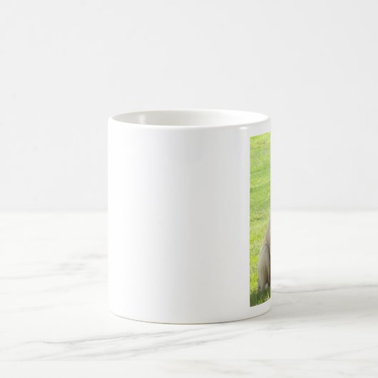 Max, Mok Engelse Mastiff (Center)