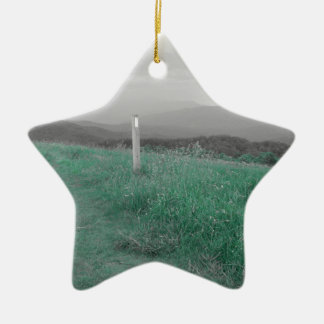 Max Patch Keramisch Ornament