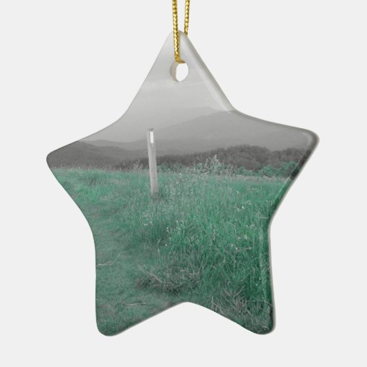 Max Patch Keramisch Ornament (Links)