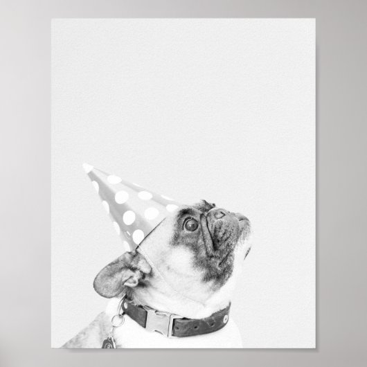 Max van de Franse Bulldog Poster (Voorkant)