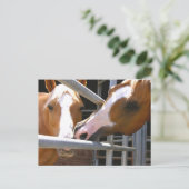 Max & zijn zoon Leonardo Briefkaart (Staand voorkant)