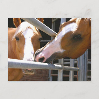 Max & zijn zoon Leonardo Briefkaart