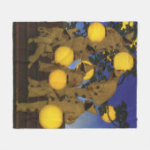 Maxfield Parrish De Lantaarn Dragers 1908 Antiek Fleece Deken (Voorkant (Horizontaal))