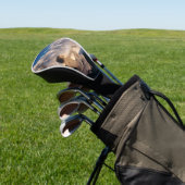 Maxfield Parrish Luchtkastelen 1904 Vintage Fantas Golfheadcover (Insitu)