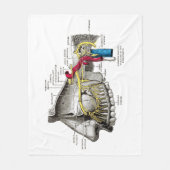 Maxillaire zenuwen menselijke anatomie fleece deken (Voorkant)