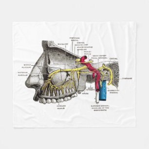 Maxillaire zenuwen menselijke anatomie fleece deken