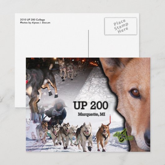 MAXIMAAL 200 Briefkaarten voor het kleuren (Voorkant / Achterkant)