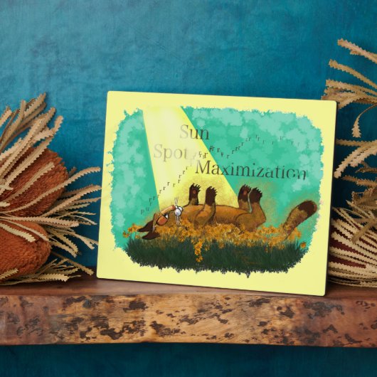 Maximalisatie van Sun Spot Fotoplaat (Zijkant)