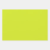 Maximalist Solid Fuchsia Heldergroen Hot Pink Inpakpapier Vel (Voorkant 2)