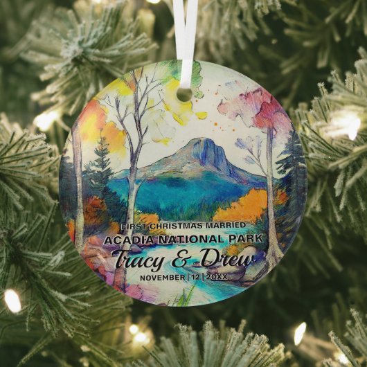 Maximalist van Christmas Acadia National Park getr Glas Ornament (Insitu)