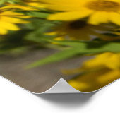 Maximiliaan's zonnebloem (Helianthus Maximiliani) Poster (Hoek)