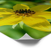 Maximilian Sunflower Floral Abstract Poster (Hoek)