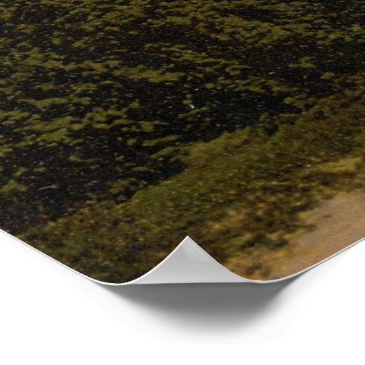 Maximilianeum Poster (Hoek)