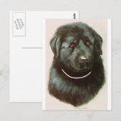 Maximillian Briefkaart (Voorkant / Achterkant)