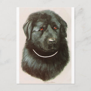 Maximillian Briefkaart