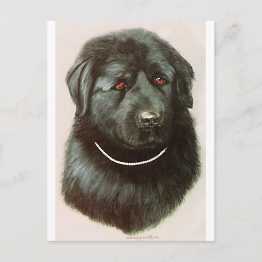 Maximillian Briefkaart (Voorkant)