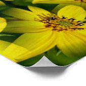 Maximillian Sunflower Abstract Poster (Hoek)
