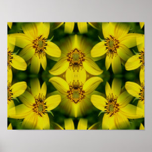 Maximillian Zonnebloem Abstract Poster