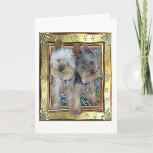 Maximum en Kaart Zach (Voorkant)